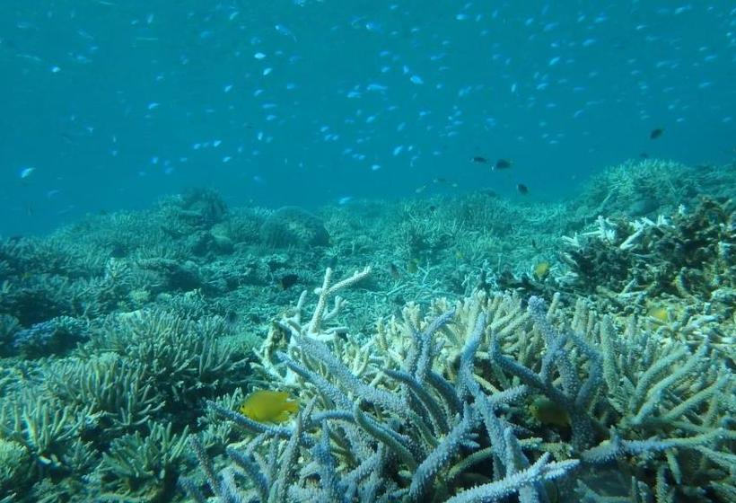 ペンション Guesthouse Iyonchi