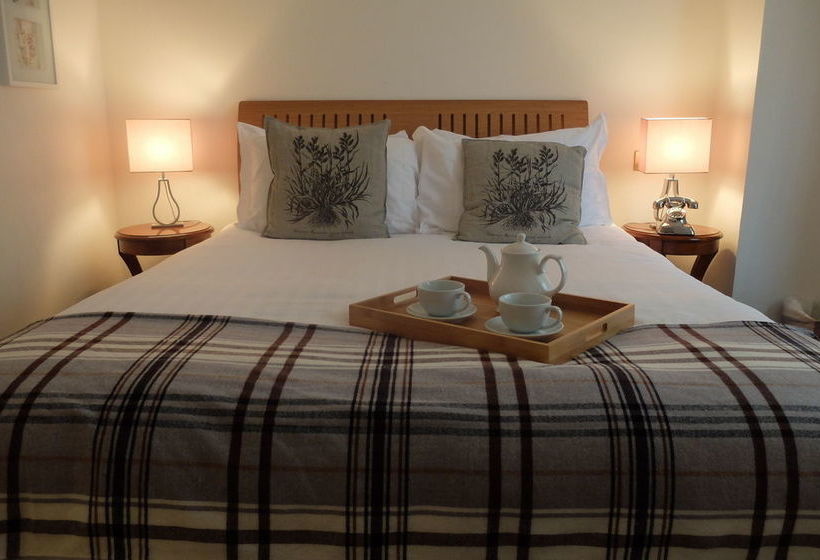 Basil Street Apartments