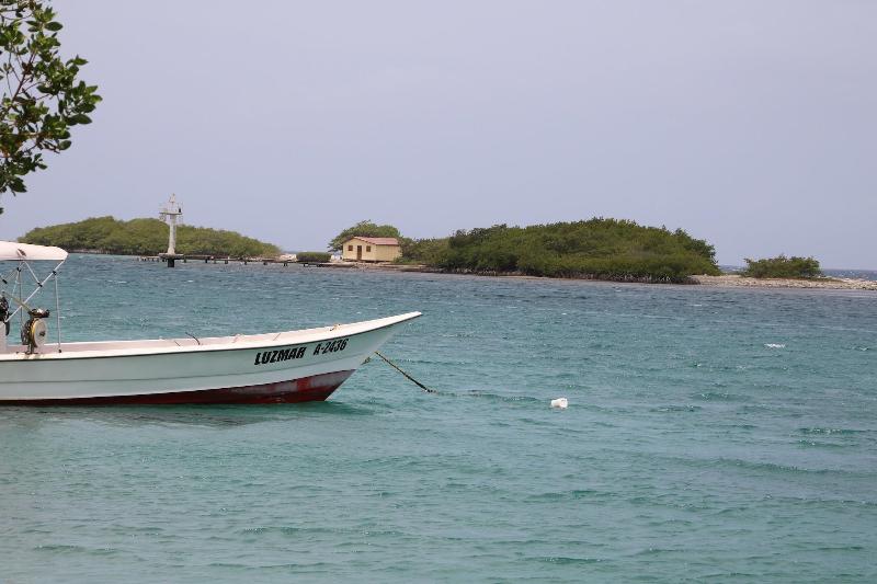 Coral Reef Beach