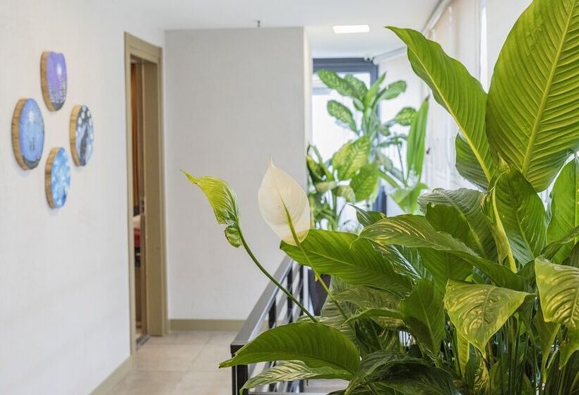 Fotos del hotel Ayramin  Taksim:  13