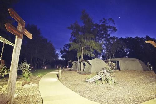 ホテル Billabong Camp At Taronga Western Plains
