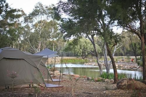 فندق Billabong Camp At Taronga Western Plains