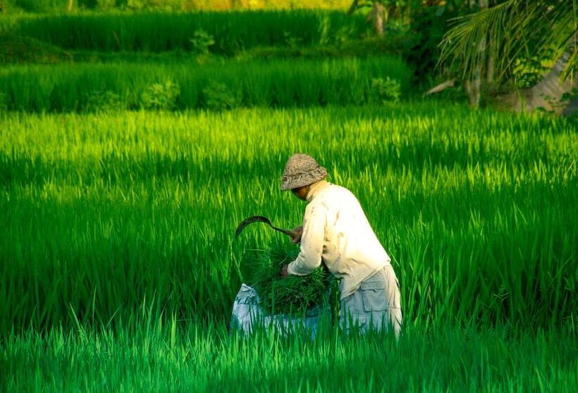 Fotos del hotel Capung Sakti Villas – By Fair Future Foundation:  2