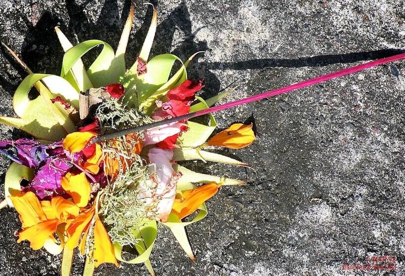 Fotos del hotel Capung Sakti Villas – By Fair Future Foundation:  18