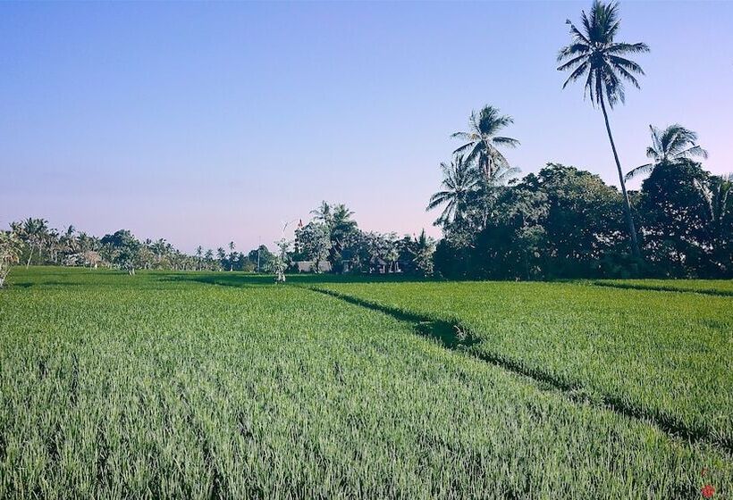 Fotos del hotel Capung Sakti Villas – By Fair Future Foundation:  8