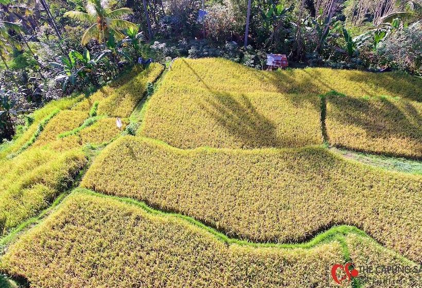 Fotos del hotel Capung Sakti Villas – By Fair Future Foundation:  26