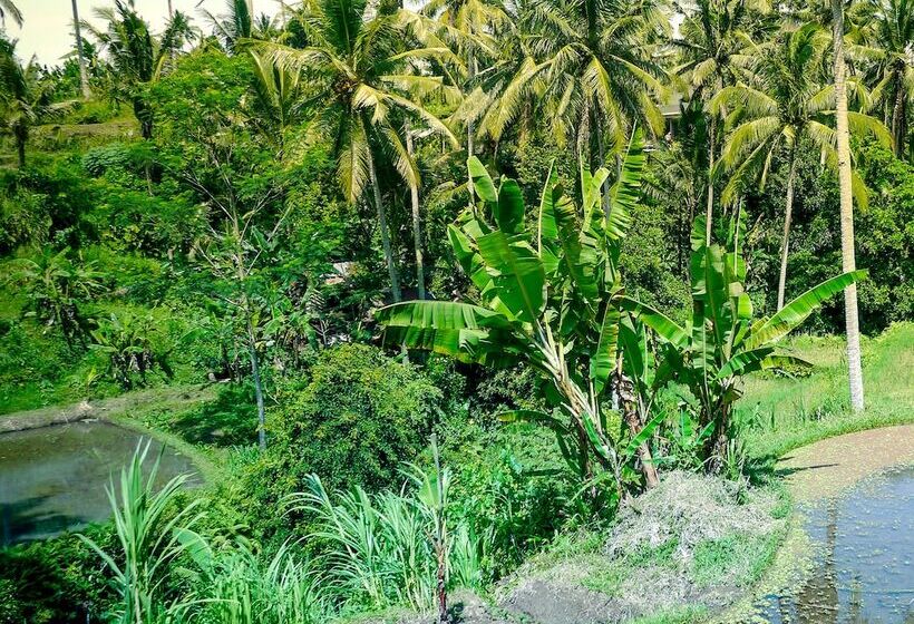 Fotos del hotel Capung Sakti Villas – By Fair Future Foundation:  5