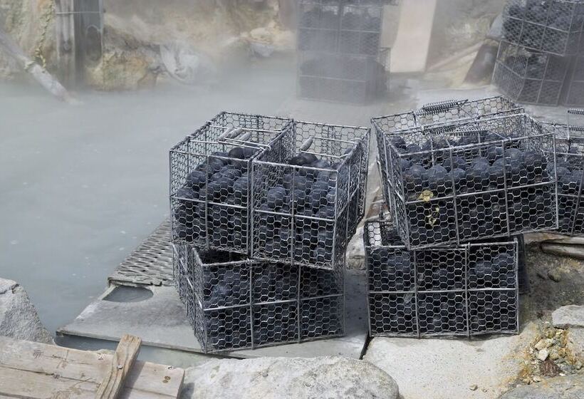 Fotos del hotel Hakone Bettei Koyoi:  10