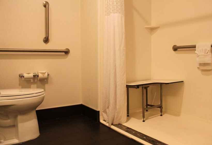 בית מלון כפרי Hampton Inn Bainbridge