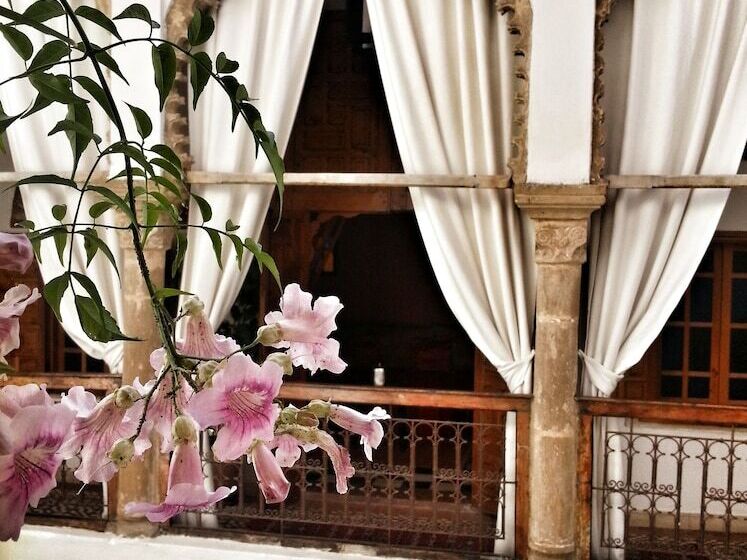 Riad El Bir