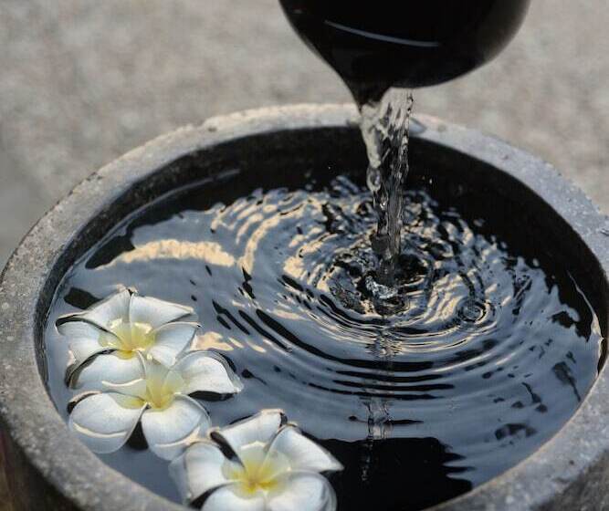 Fotos del hotel Belukar:  38