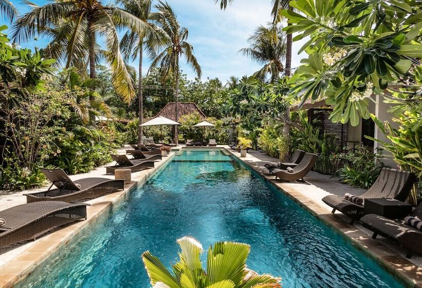 Fotos del hotel Belukar:  52