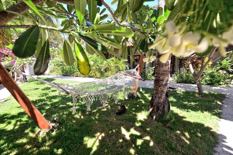 Fotos del hotel Belukar:  25