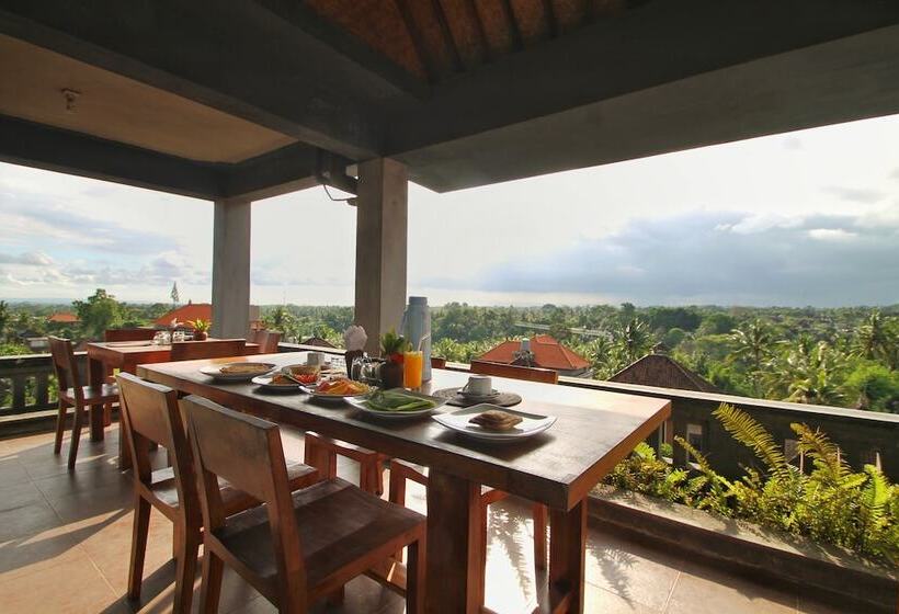 Fotos del hotel Hibiscus Cottages:  35