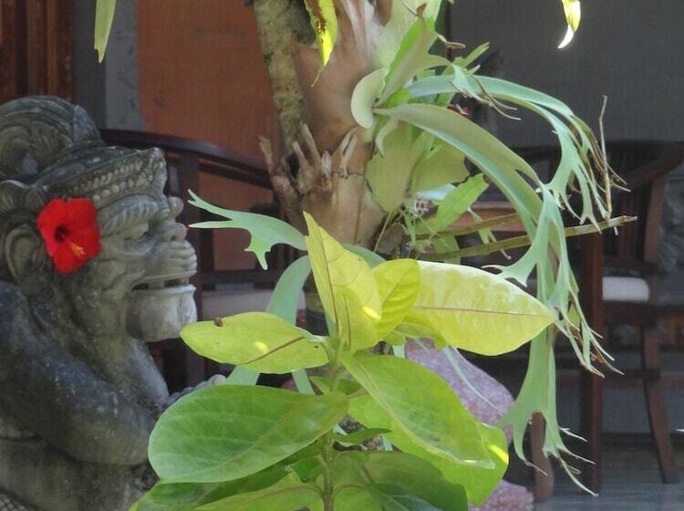 Fotos del hotel Hibiscus Cottages:  17