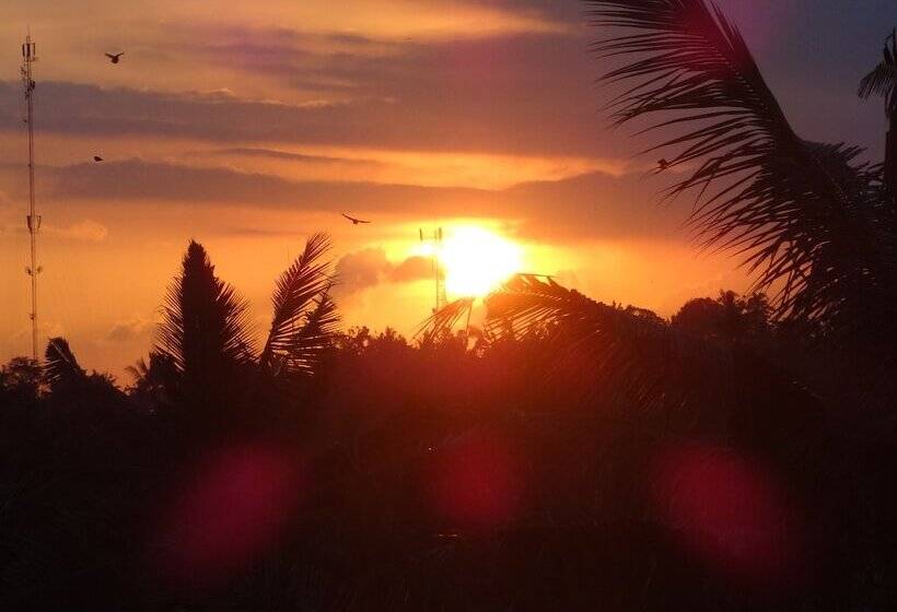 Fotos del hotel Hibiscus Cottages:  43