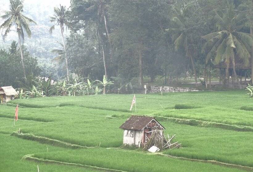 Fotos del hotel Hibiscus Cottages:  44