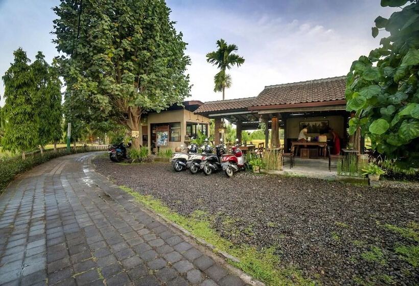 Fotos del hotel Uma Dana Ubud:  3