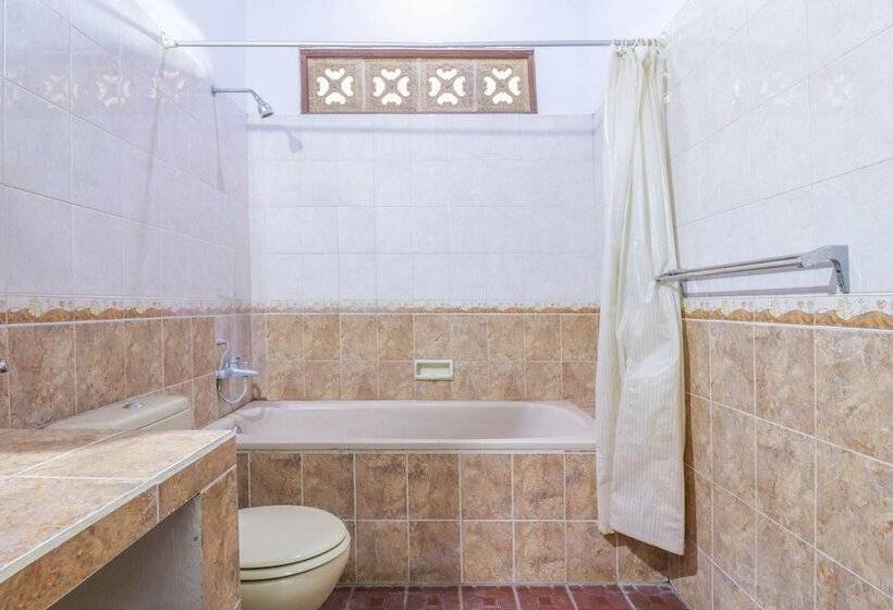Fotos del hotel New Ananda Beach:  11