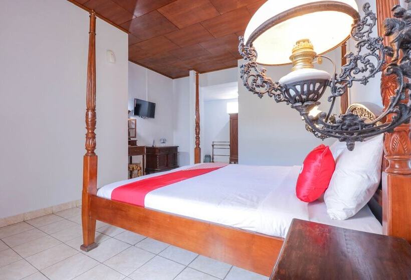 Fotos del hotel New Ananda Beach:  14