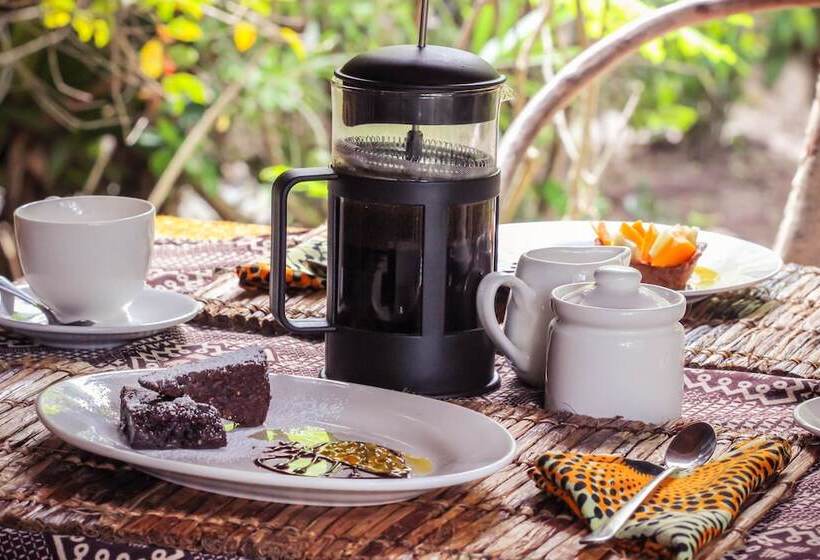 פנסיון Bellevue Zanzibar