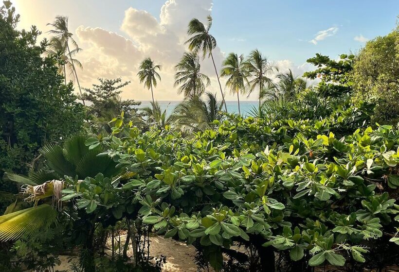 פנסיון Bellevue Zanzibar