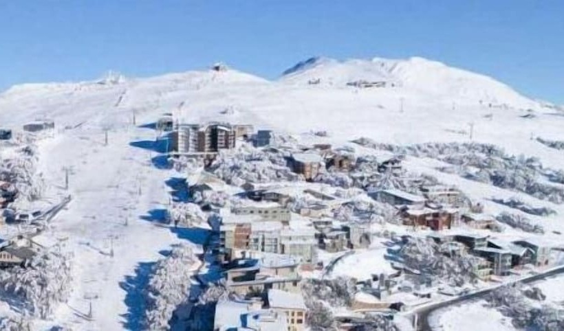 בית מלון כפרי Buller Central