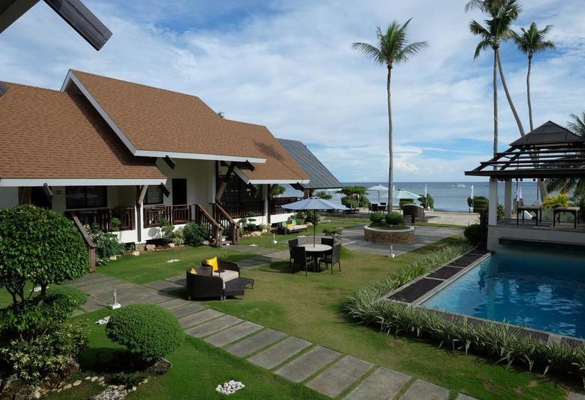 Fotos del hotel Dive Thru Scuba Resort:  16