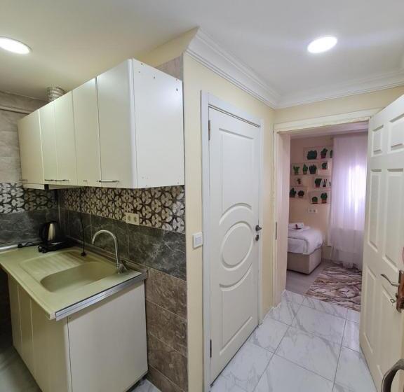 Fotos del hotel Pera Line:  40