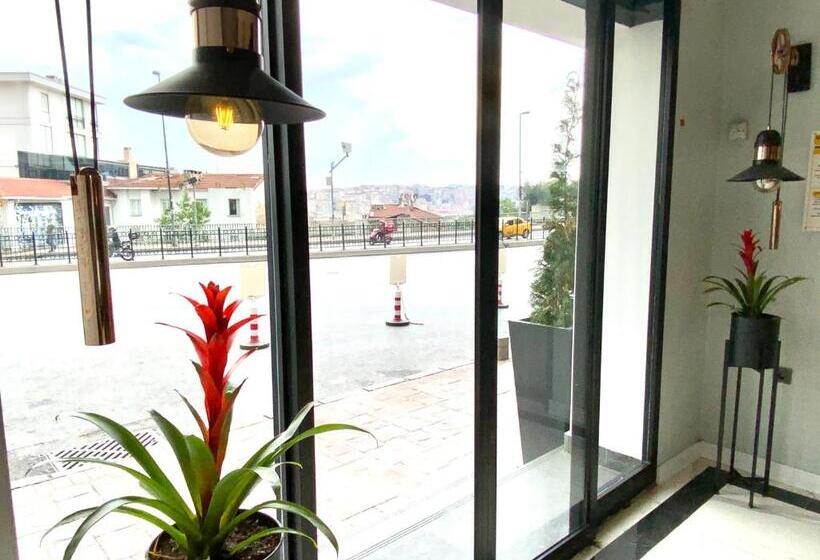 Fotos del hotel Biancho  Pera Special Category:  41