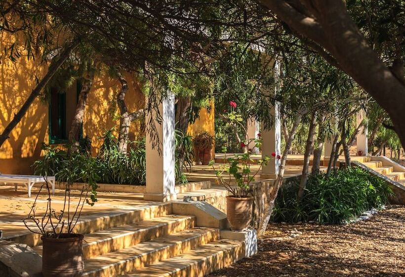 تختخواب و صبحانه Villa Juba