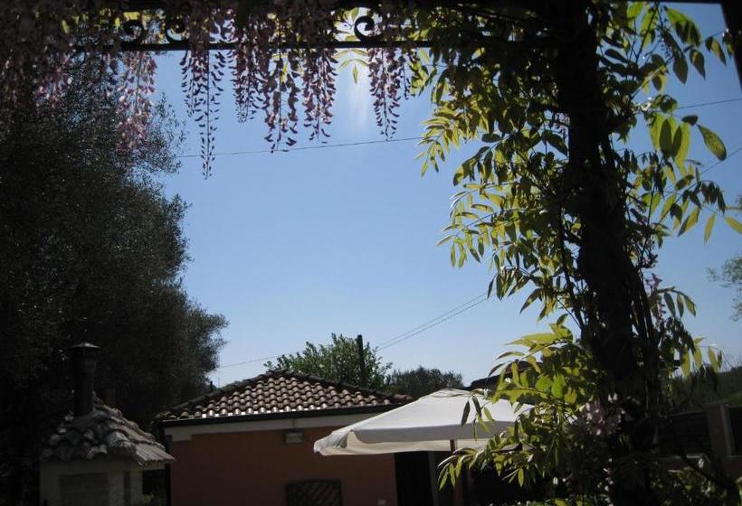 Casa Vacanze Mimose