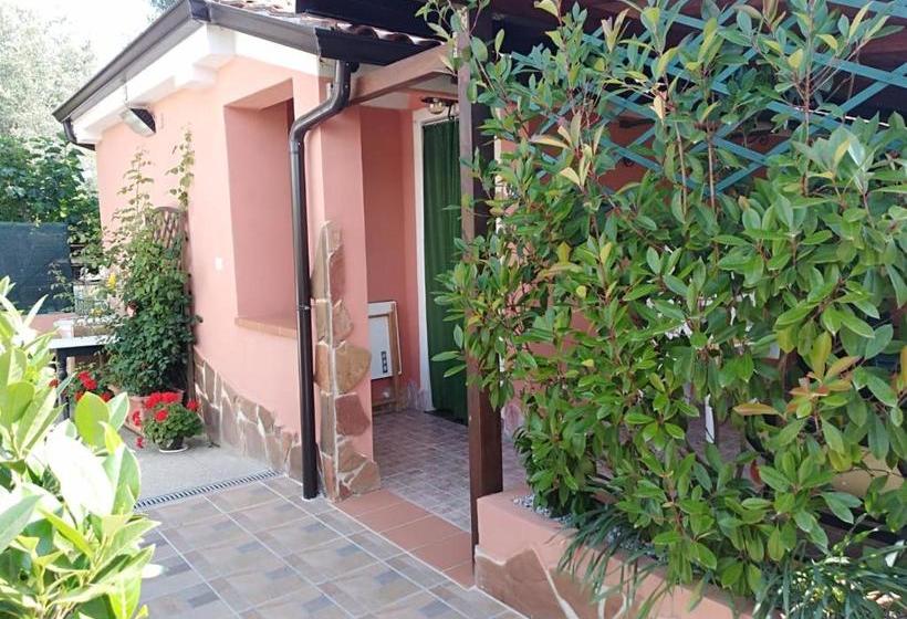 Casa Vacanze Mimose