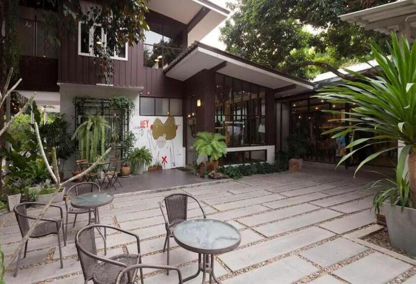 Chiang Mai D Hostel