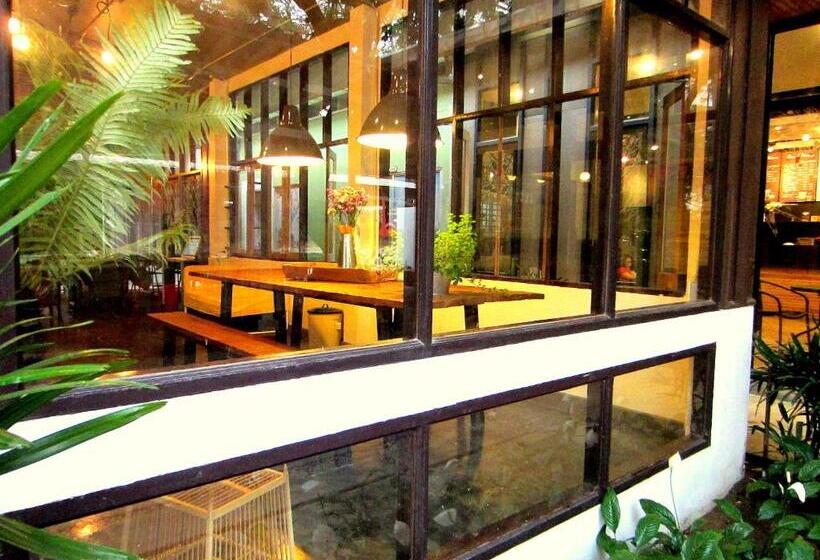 Chiang Mai D Hostel