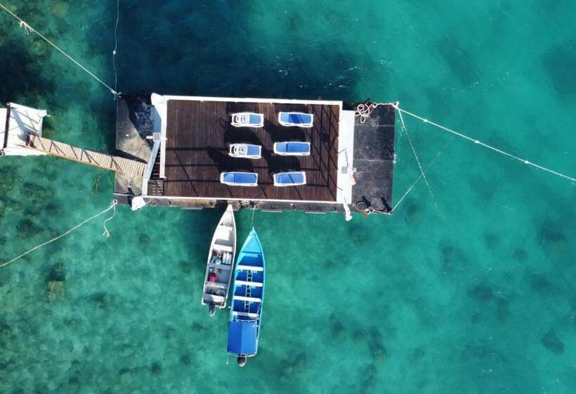 هتل Alunan Resort All Inclusive