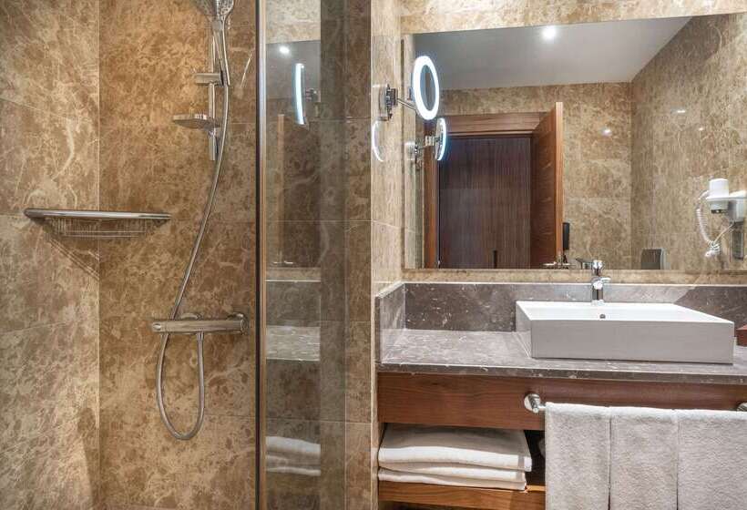 Fotos del hotel Clarion Hotel Istanbul Mahmutbey:  40