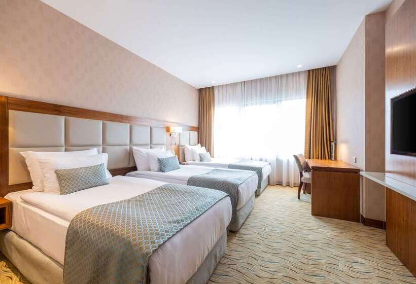 Fotos del hotel Clarion Hotel Istanbul Mahmutbey:  14