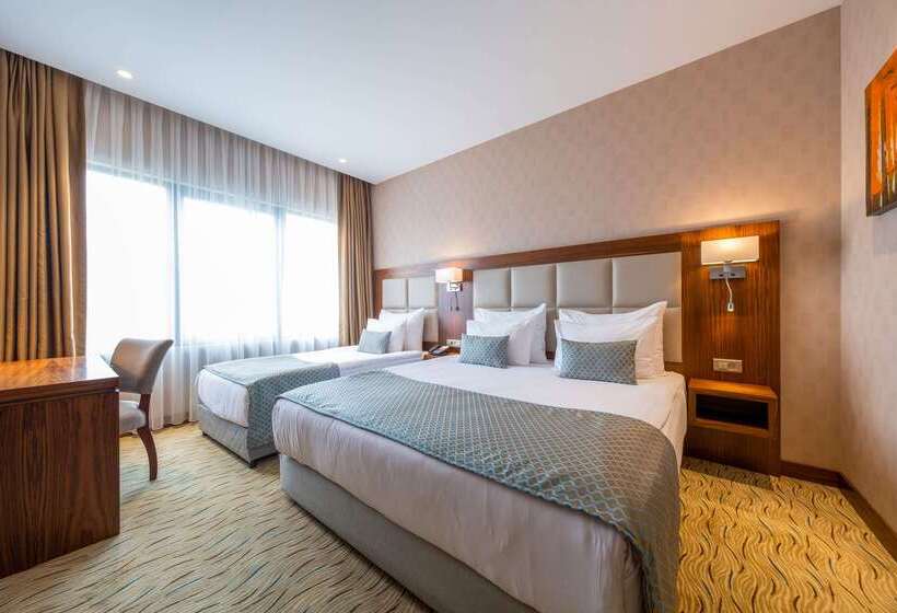 Fotos del hotel Clarion Hotel Istanbul Mahmutbey:  9