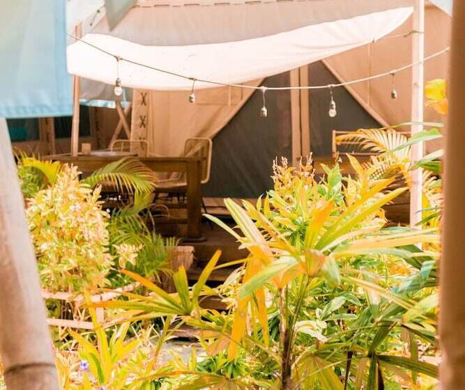 Fotos del hotel La Cocoteraie Ecolodge Glamping:  15