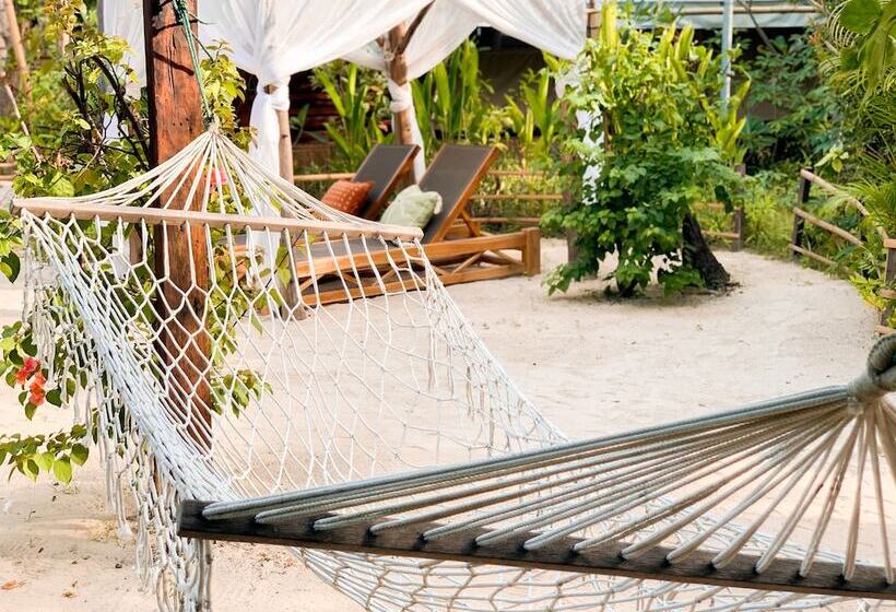 Fotos del hotel La Cocoteraie Ecolodge Glamping:  43