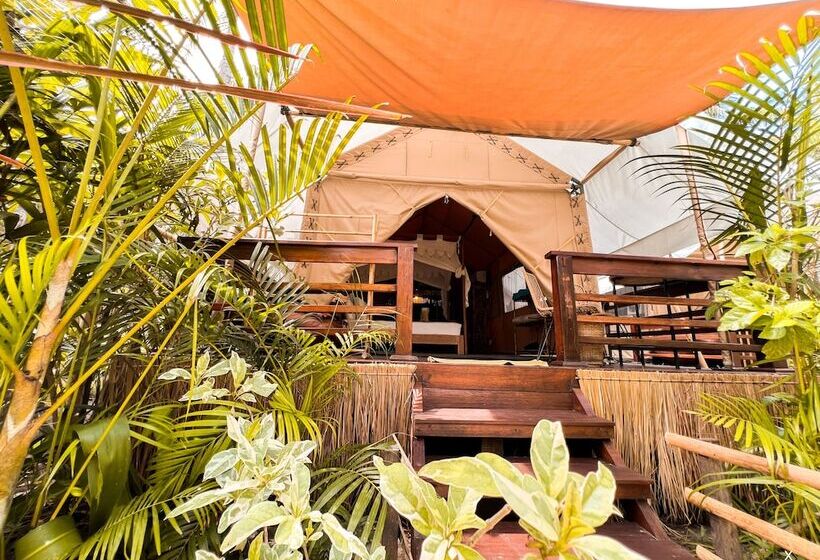 Fotos del hotel La Cocoteraie Ecolodge Glamping:  22