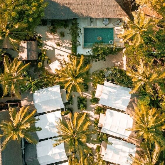 Fotos del hotel La Cocoteraie Ecolodge Glamping:  37