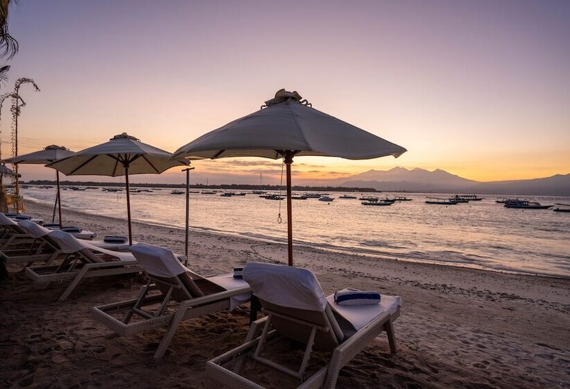 Fotos del hotel Scallywags Resort:  12