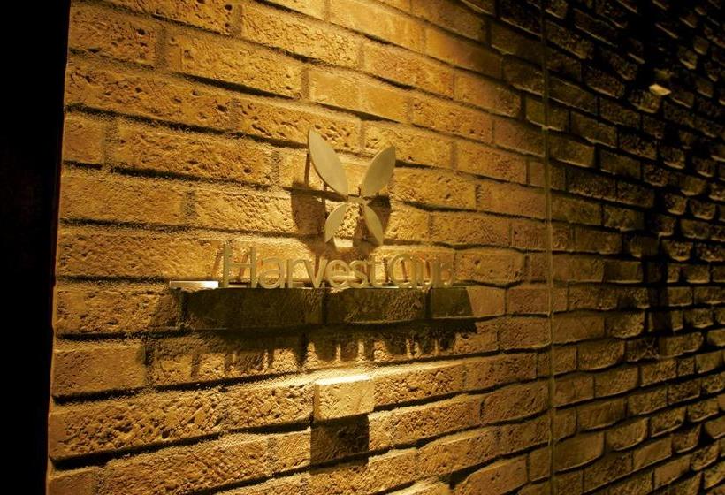 Harvest Hakone Koushien