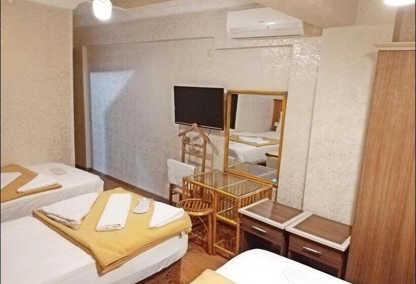 Fotos del hotel Istanbul Sydney:  16