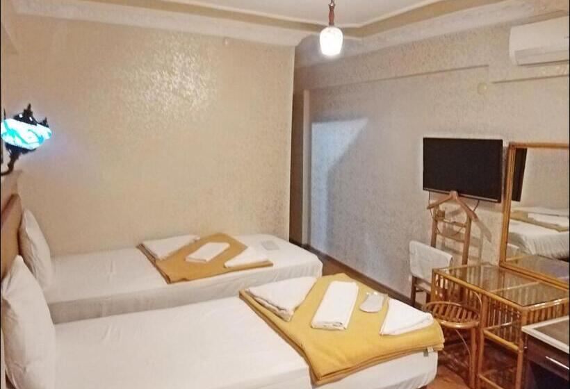 Fotos del hotel Istanbul Sydney:  18