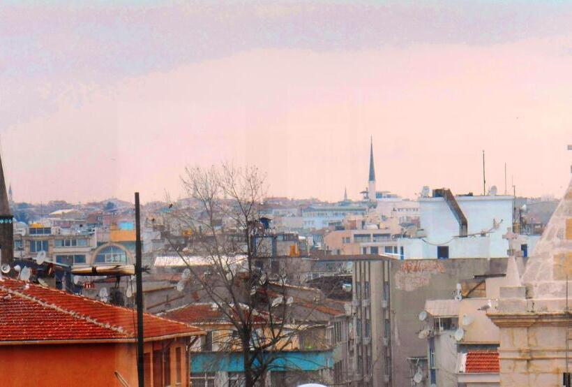 Fotos del hotel Istanbul Sydney:  17