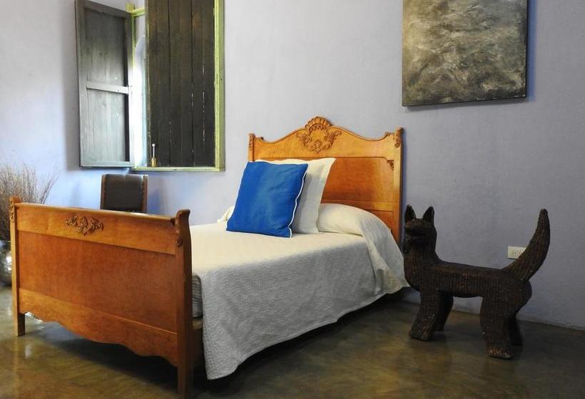Fotos del hotel Meson Sacristia De La Soledad:  17