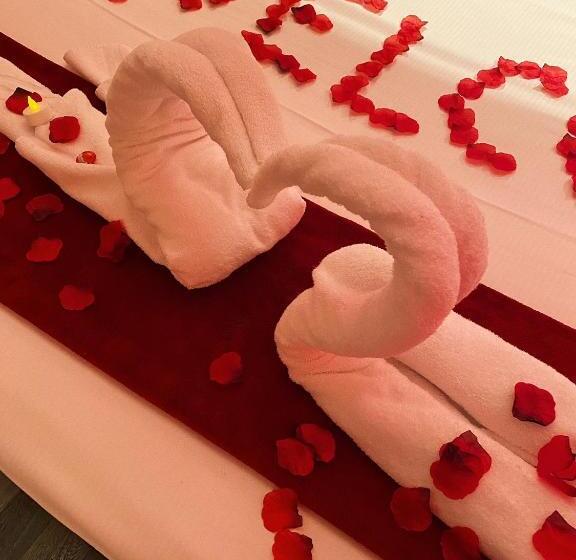 膳宿费 Chroma Exy   Chroma Italy